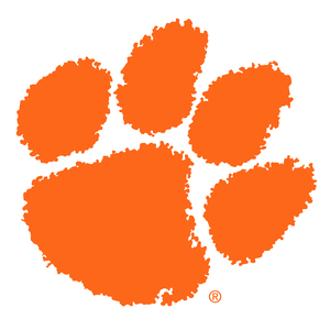 /images/NativeArtwork/Clemson Tigers.jpg